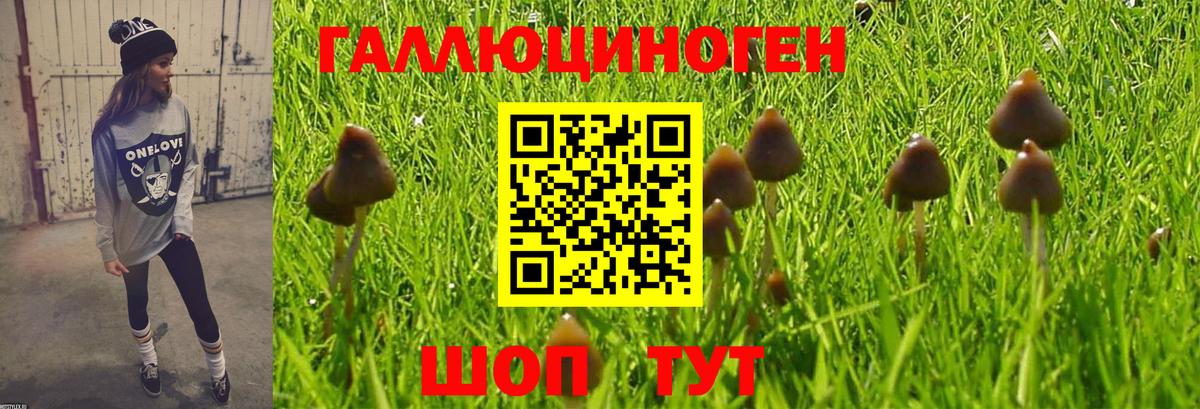 Галлюциногенные грибы Cubensis  Вход с VPN  Коммунар  Псилоцибиновые грибы Magic Shrooms 