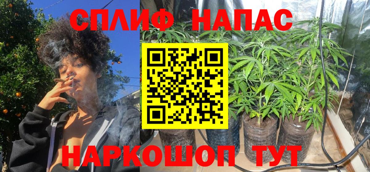 Канабис сатива  Вход с VPN  МАРИХУАНА индика  Бошки Шишки сатива  Коммунар 
